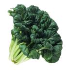  free shipping [ morning market direct line ] Shizuoka prefecture another tatsoi (ta. rhinoceros )L size PC approximately 150g~200g x2 piece set [ refrigeration ]