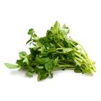 [ утро рынок прямой line ] Tochigi префектура другой кресс пачка примерно 25g~40g[ рефрижератор ]