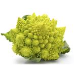 [ утро рынок прямой line ] префектура Аичи другой romaneskoL размер 1 шт примерно 600g x4 шт. комплект [ рефрижератор ]