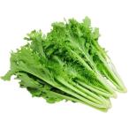 [ утро рынок прямой line ] Tochigi префектура другой васаби . пачка примерно 80g x4 шт. комплект [ рефрижератор ]