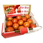 [ утро рынок прямой line ] для бизнеса * бесплатная доставка префектура Аичи другой Ame -la помидор 9~13 штук входит (1 кейс )[ рефрижератор ] включая доставку 