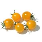 [ утро рынок прямой line ] Hokkaido другой мини помидоры желтый PC примерно 200g x4 шт. комплект [ рефрижератор ]