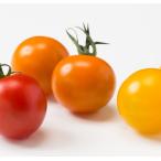  бесплатная доставка [ утро рынок прямой line ] Hokkaido другой мини помидоры orange PC примерно 200g x2 шт. комплект [ рефрижератор ] включая доставку 