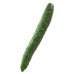 [ утро рынок прямой line ] Chiba префектура другой огурец M 1 шт. примерно 100g x6 шт. комплект [ рефрижератор ]