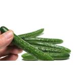 [ утро рынок прямой line ] Miyagi префектура другой .....1 пакет (5~6 шт. входит .) примерно 100g[ рефрижератор ]