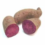 [ утро рынок прямой line ] Chiba префектура другой фиолетовый клубень .... клубень 1kg[ рефрижератор ]