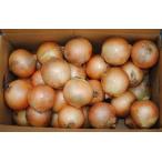 [ утро рынок прямой line ] для бизнеса * бесплатная доставка Hokkaido другой шар лук порей L большой размер 20kg ввод ( кейс )[ рефрижератор ] включая доставку 