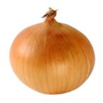 [ утро рынок прямой line ] Hokkaido другой шар лук порей L большой 1 шт примерно 250g[ рефрижератор ]