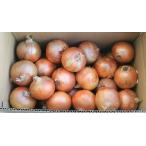 [ утро рынок прямой line ] для бизнеса * бесплатная доставка Hyogo префектура другой .. производство шар лук порей 10kg ввод ( кейс )[ рефрижератор ] включая доставку 