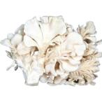 [ утро рынок прямой line ] Niigata префектура другой белый Mai .( белый ....)PC примерно 100g[ рефрижератор ]