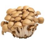 [ утро рынок прямой line ] Nagano префектура другой .. симедзи ( пакет ) примерно 100g[ рефрижератор ]