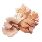 [ утро рынок прямой line ] Nagano префектура другой время цвет обычный .PC примерно 100g x6 шт. комплект [ рефрижератор ]