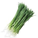 [ утро рынок прямой line ] Shizuoka префектура другой . лук порей PC примерно 25g[ рефрижератор ]