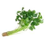 [ утро рынок прямой line ] Ibaraki префектура другой нить три лист 1 пачка примерно 35g~50g[ рефрижератор ]