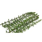 [ утро рынок прямой line ] префектура Аичи другой пачка ....(...)PC примерно 30g x6 шт. комплект [ рефрижератор ]