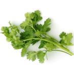 [ утро рынок прямой line ] префектура Аичи другой итальянская петрушка PC примерно 15g x4 шт. комплект [ рефрижератор ]