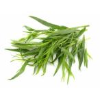  бесплатная доставка [ утро рынок прямой line ] префектура Аичи другой Est lagon( треска gon)PC примерно 10g x2 шт. комплект [ рефрижератор ] включая доставку 