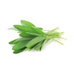  бесплатная доставка [ утро рынок прямой line ] префектура Аичи другой seiji шалфей PC примерно 15g x2 шт. комплект [ рефрижератор ] включая доставку 