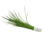 [ утро рынок прямой line ] Chiba префектура другой шнитт-лук (si Brett )PC примерно 15g[ рефрижератор ]