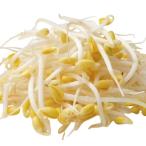 [ утро рынок прямой line ] Tochigi префектура другой маленький большой бобы мояси ( бобы ..)( пакет )200g x6 шт. комплект [ рефрижератор ]