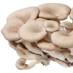  бесплатная доставка [ утро рынок прямой line ] Nagano префектура другой ... flat .( пакет ) примерно 100g x2 шт. комплект [ рефрижератор ] включая доставку 