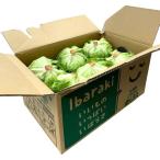 [ утро рынок прямой line ] для бизнеса * бесплатная доставка Kumamoto префектура другой lettuce 2L размер 12 штук входит ( кейс )[ рефрижератор ] включая доставку 