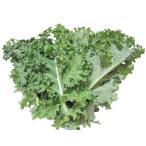 [ утро рынок прямой line ] Fukushima префектура другой машина Lee кудрявая капуста ( пакет ) примерно 80g x4 шт. комплект [ рефрижератор ]