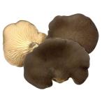 [ утро рынок прямой line ] Nagano префектура другой чёрный .... примерно 65g~ примерно 100g x4 шт. комплект [ рефрижератор ]