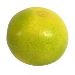 ショッピング文旦 【朝市場直行】高知県ほか　水晶文旦（すいしょうぶんたん）1個　x6個セット【冷蔵】