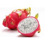  бесплатная доставка [ утро рынок прямой line ] Вьетнам производство питахайя ( белый )1 шт примерно 300g x2 шт. комплект [ рефрижератор ] включая доставку 