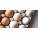 [ утро рынок прямой line ] для бизнеса * бесплатная доставка шар .L размер роза ( кейс ) примерно 140~155 шт [ рефрижератор ]