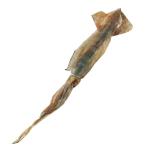 [ утро рынок прямой line ] кальмар круг высушенный ..(1 листов )40-60g ранг Toyama [ рефрижератор ]