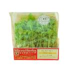 [ утро рынок прямой line ] микро трава (k Lazy pi-) упаковка Yamanashi префектура производство пестициды не использование [ рефрижератор ]