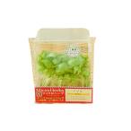 [ утро рынок прямой line ] овощи трава вид микро трава ( базилик ) Yamanashi префектура упаковка [ рефрижератор ]