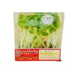 [ утро рынок прямой line ] овощи трава вид микро трава (bo Rige ) Yamanashi префектура упаковка [ рефрижератор ]
