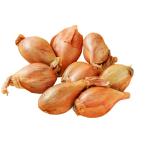 [ утро рынок прямой line ] овощи корнеплоды e Sharo to Belgium e Sharo to Франция другой 500g ранг [ рефрижератор ]