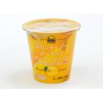 送料無料　蒜山（ひるぜん）酪農　蒜山ジャージ-ヨーグルトマンゴーピューレー90g　x2セット　　送料込み