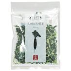 ¹±¿©¡¡µÈÎÉ¿©ÉÊ¡¡´¥ÁçÌîºÚ ¶å½£»º Â纬ÍÕ¡¡40g