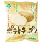 Yahoo! Yahoo!ショッピング(ヤフー ショッピング)送料無料　恒食　サンコー　ポテト チップス しお味　60g　送料込み