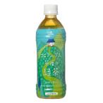 恒食　ゴールドパック　北アルプス茶屋の 緑茶　500ml　x6個セット