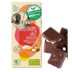 フェアトレードチョコ　塩キャラメル＆ナッツ 植物性チョコレート 　80ｇ　第3世界ショップ