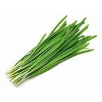 【ムソーの安心野菜】特別栽培　にら　100g【冷蔵】