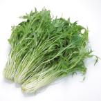 【ムソーの安心野菜】特別栽培　みず菜　150g【冷蔵】
