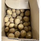 [ пестициды не использовался ] Chiba префектура ...... ... клубень (kita красный li)5kg коробка [ рефрижератор ]