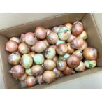 [ иметь машина засвидетельствование ] Hokkaido Hokkaido. иметь машина шар лук порей ( маленький размер ) примерно 4kg коробка [ рефрижератор ]