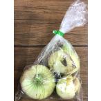 [. пестициды ] Shizuoka префектура Hamamatsu. новый шар лук порей примерно 500gP x2 шт. комплект [ рефрижератор ]