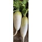 [ природа культивирование ] Miyagi префектура природа культивирование. дайкон ( мытье ) маленький размер ( примерно 500g) 1 шт. x2 шт. комплект [ рефрижератор ]