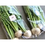【有機認証】山梨県　八ヶ岳の有機小かぶ（3〜5個入り）約500gP　x2個セット【冷蔵】