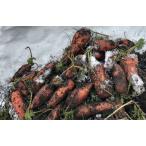 [ пестициды не использовался ] Hokkaido данный лен блок. снег внизу морковь ( земля есть ) примерно 10kg коробка [ рефрижератор ]