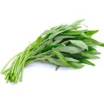 [ пестициды не использовался ] Kyoto. пустой сердце .( пустой сердцевина .) примерно 150gP x2 шт. комплект [ рефрижератор ]